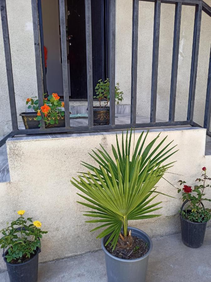 House B&B Mestia Dış mekan fotoğraf