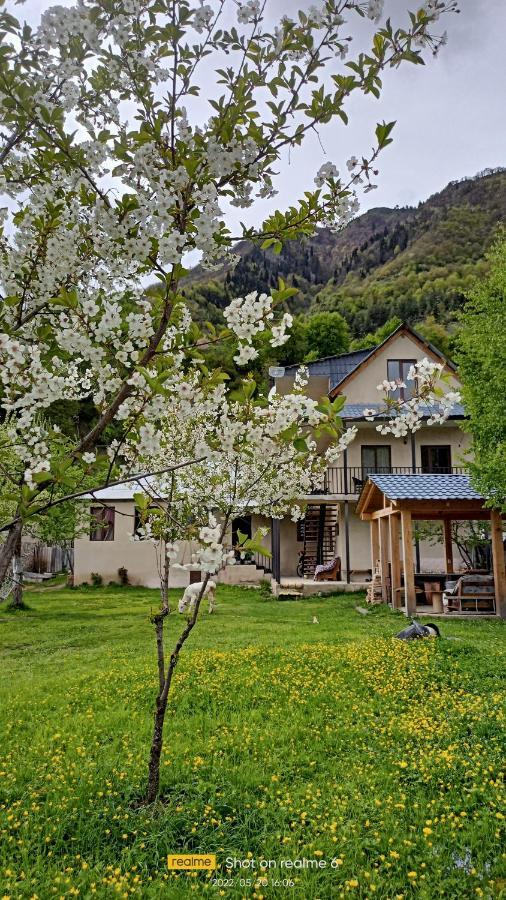 House B&B Mestia Dış mekan fotoğraf