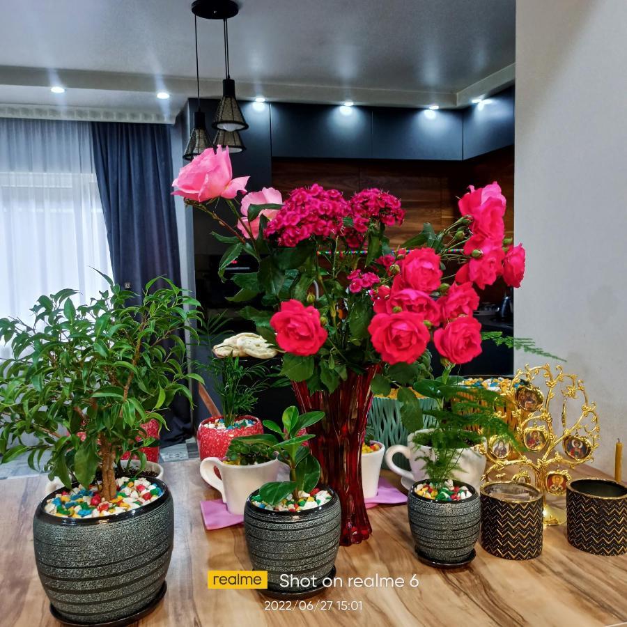 House B&B Mestia Dış mekan fotoğraf