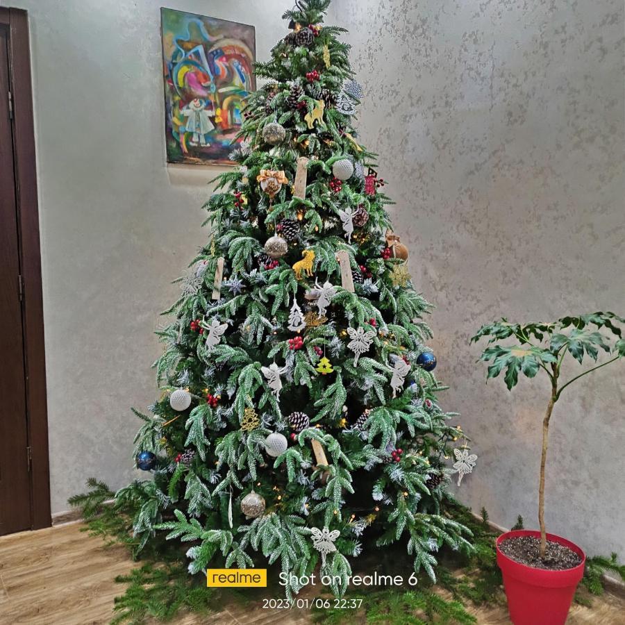 House B&B Mestia Dış mekan fotoğraf
