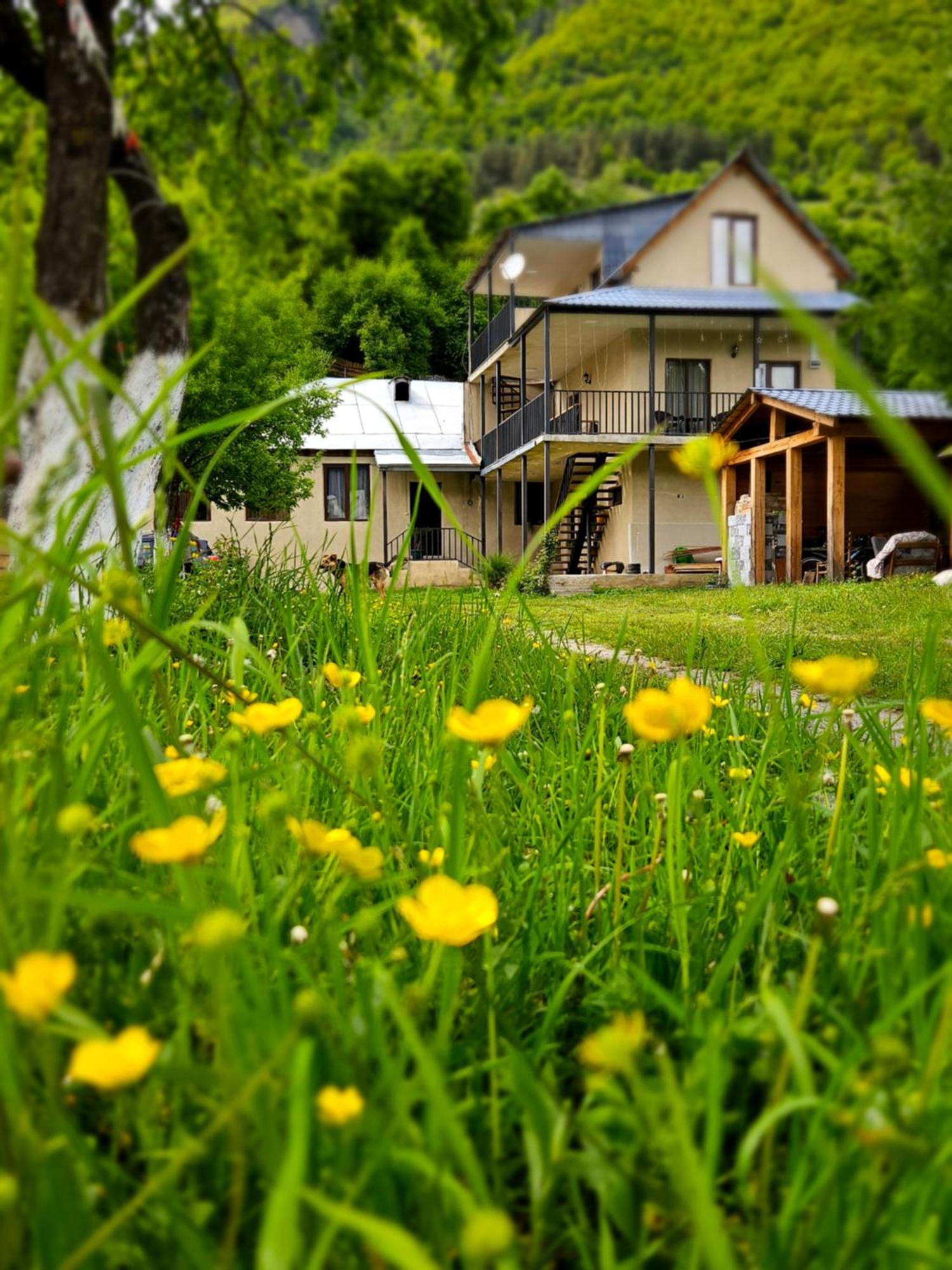 House B&B Mestia Dış mekan fotoğraf