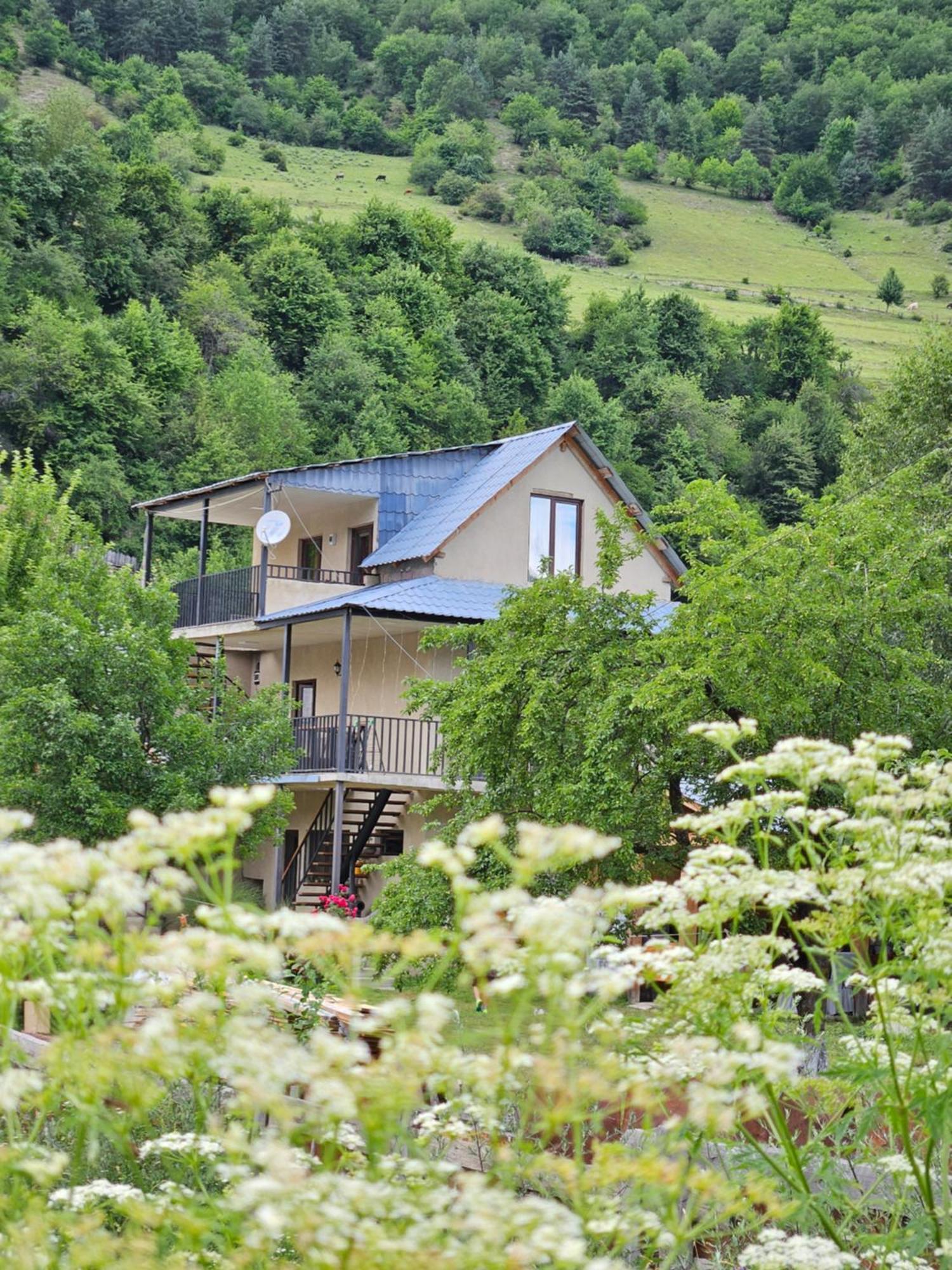 House B&B Mestia Dış mekan fotoğraf